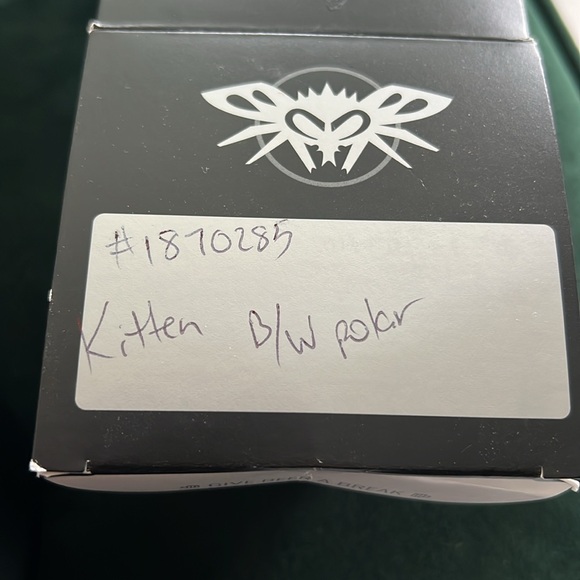 Black Flys Fly Kitten Glasses - Picture 4 of 4